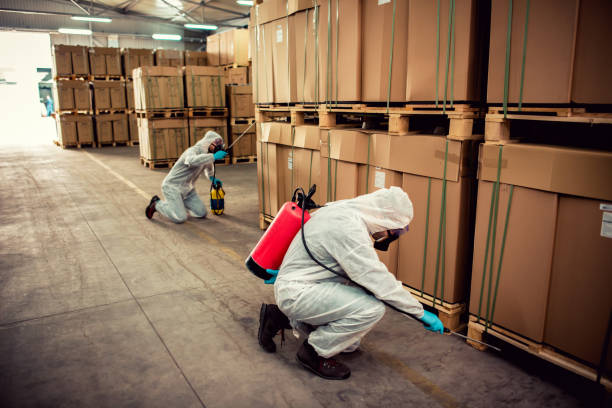 Best Pest Control Treatment  in Munsons Corners, NY