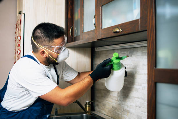 Best Emergency Pest Control  in Munsons Corners, NY