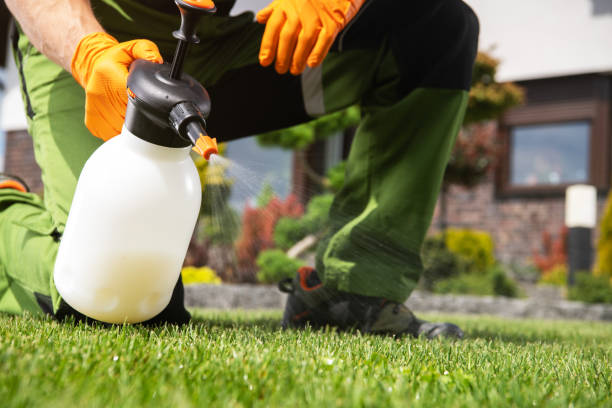 Best Rodent Control Near Me  in Munsons Corners, NY
