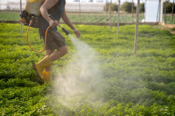 Best Pest Control for Businesses  in Munsons Corners, NY