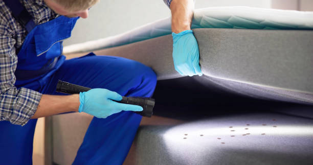 Pest Control for Restaurants in Munsons Corners, NY