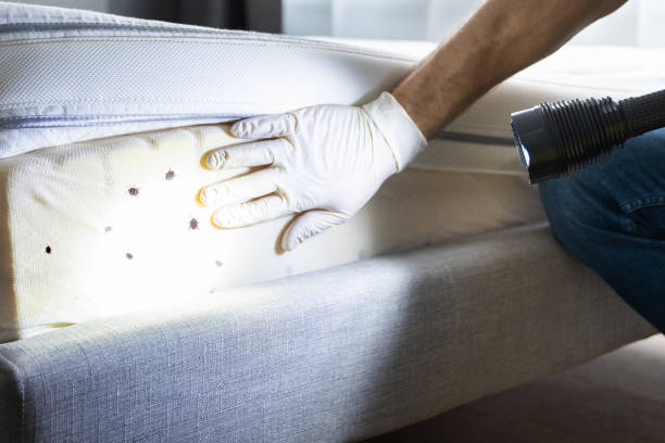 Best Wildlife Control Services  in Munsons Corners, NY