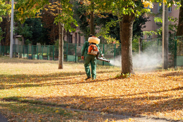 Best Wasp Removal Services  in Munsons Corners, NY