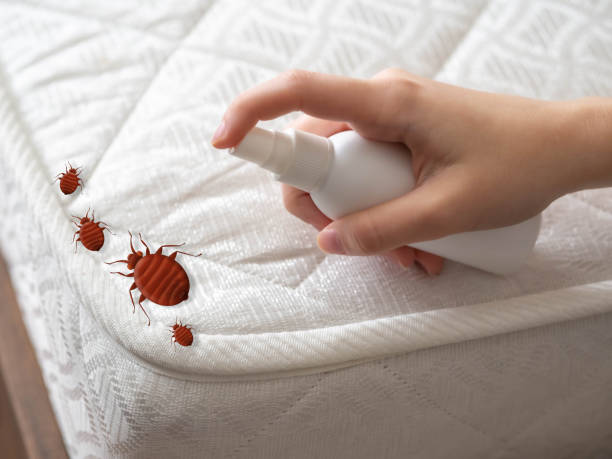 Pest Prevention Services in Munsons Corners, NY