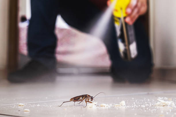 Best Cockroach Control Services  in Munsons Corners, NY