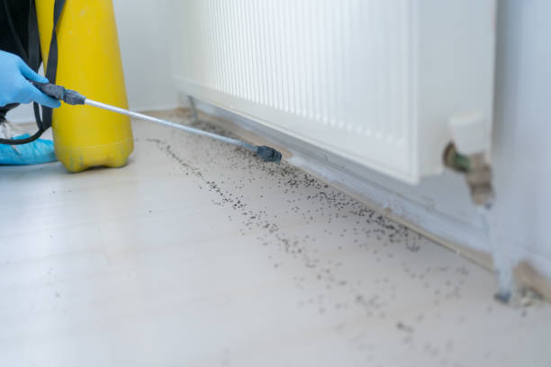 Best Emergency Pest Control  in Munsons Corners, NY