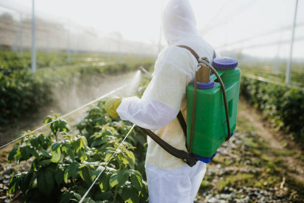Trusted Munsons Corners, NY Pest Control Experts